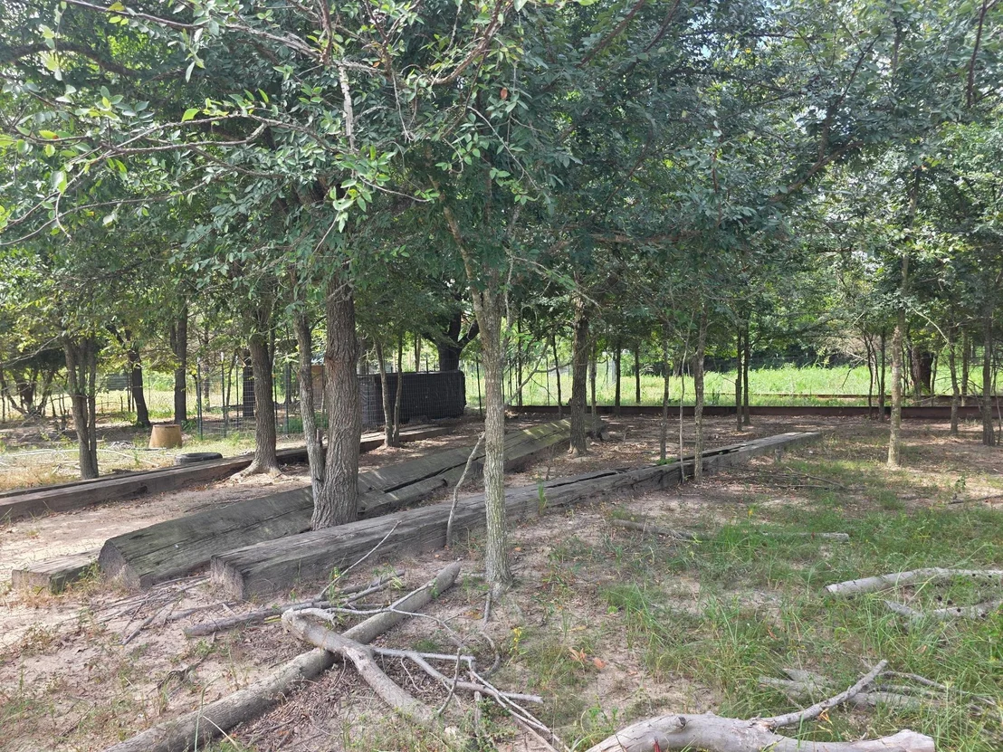 Photo of 11305 Cooper LN