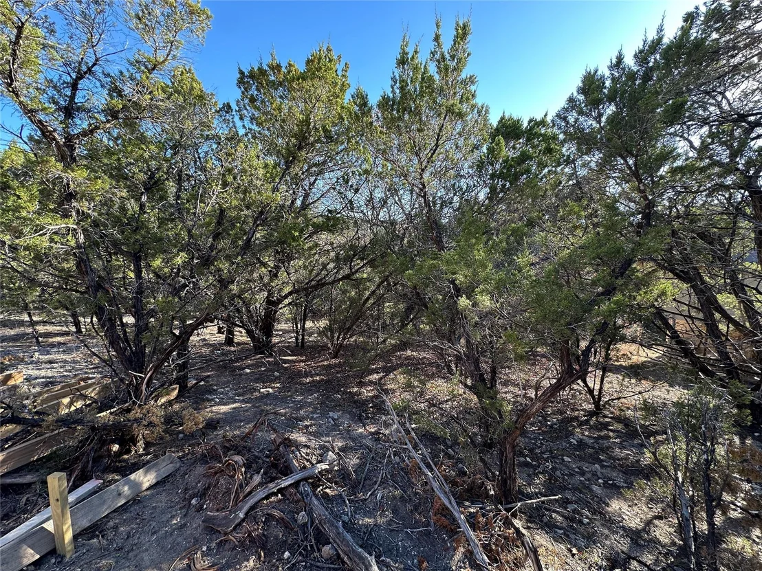 Photo of 21009 Post Oak DR