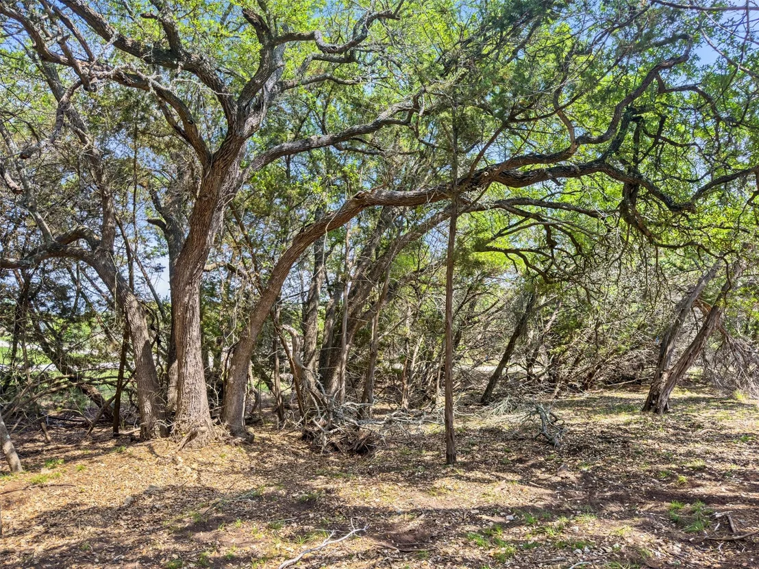 Photo of 369 Onion Creek LN