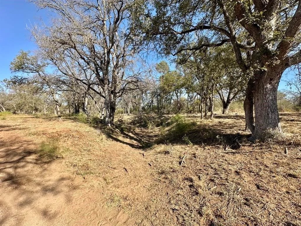 Photo of 261 County Road 120