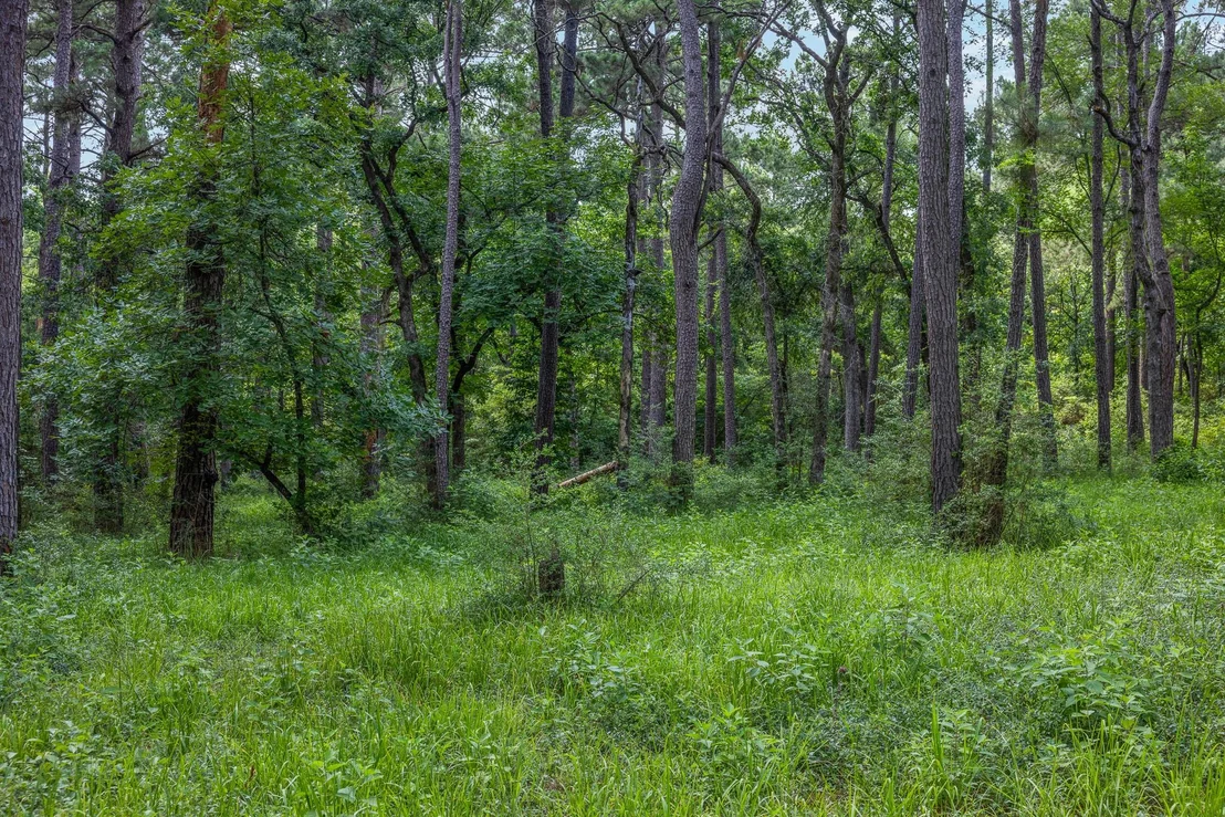 Photo of 5772 PR 2065