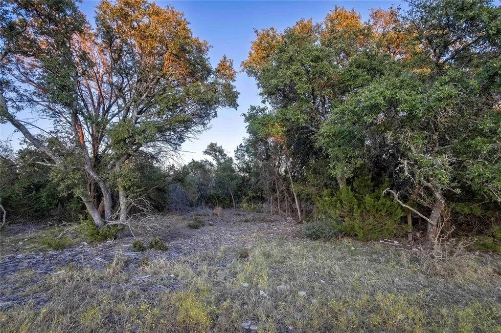 Photo of Lot 69 Mourning Dove LN
