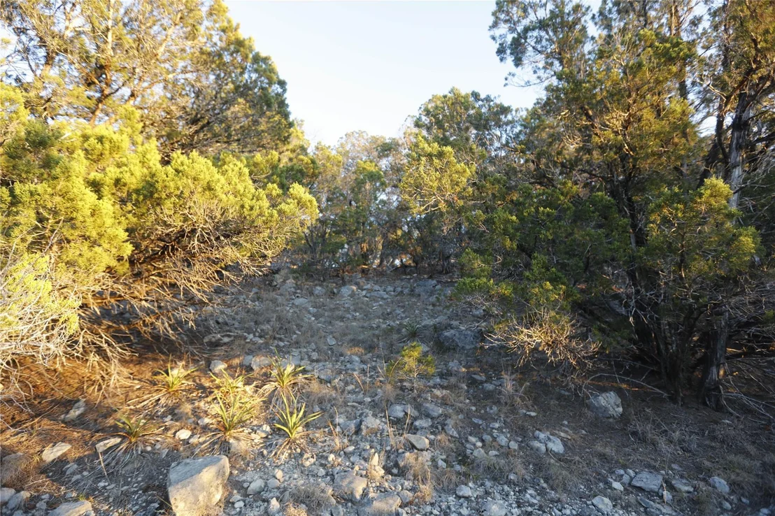 Photo of 7020 Live Oak DR