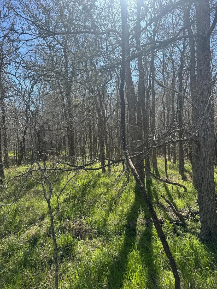 Photo of Lot 321 Kolekole LN