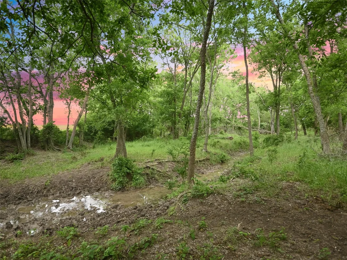 Photo of 1515 County Road 315