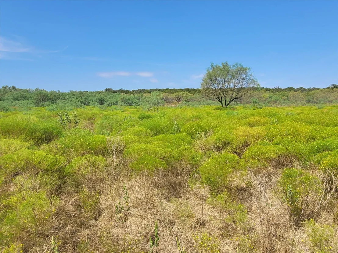 Photo of 14426 County Road 211