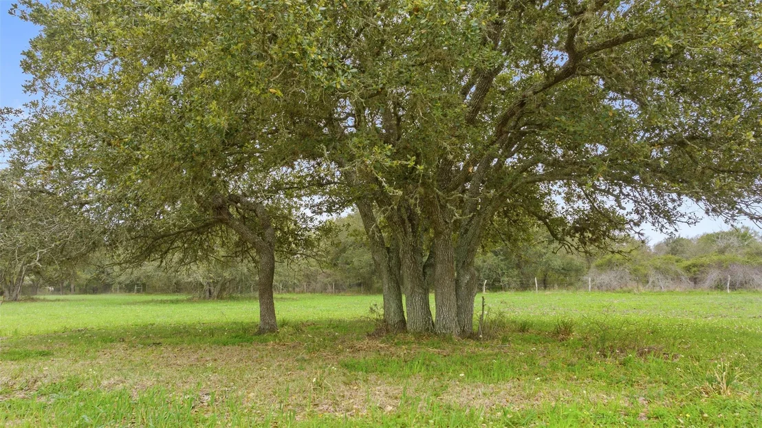Photo of 778 County Road 123