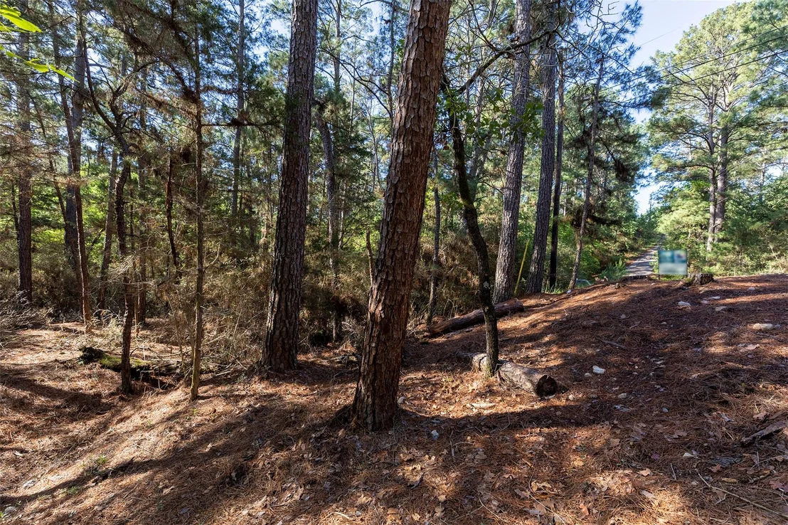 Photo of 133 Wainee DR