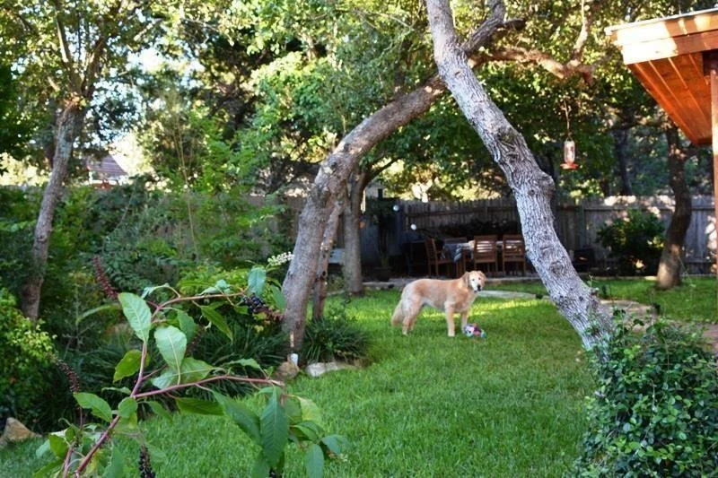 Photo of 1706 Muledeer RUN