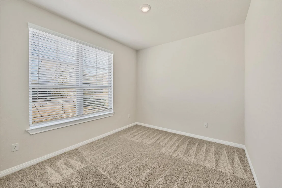 Photo of 90 Snowy Plover LN