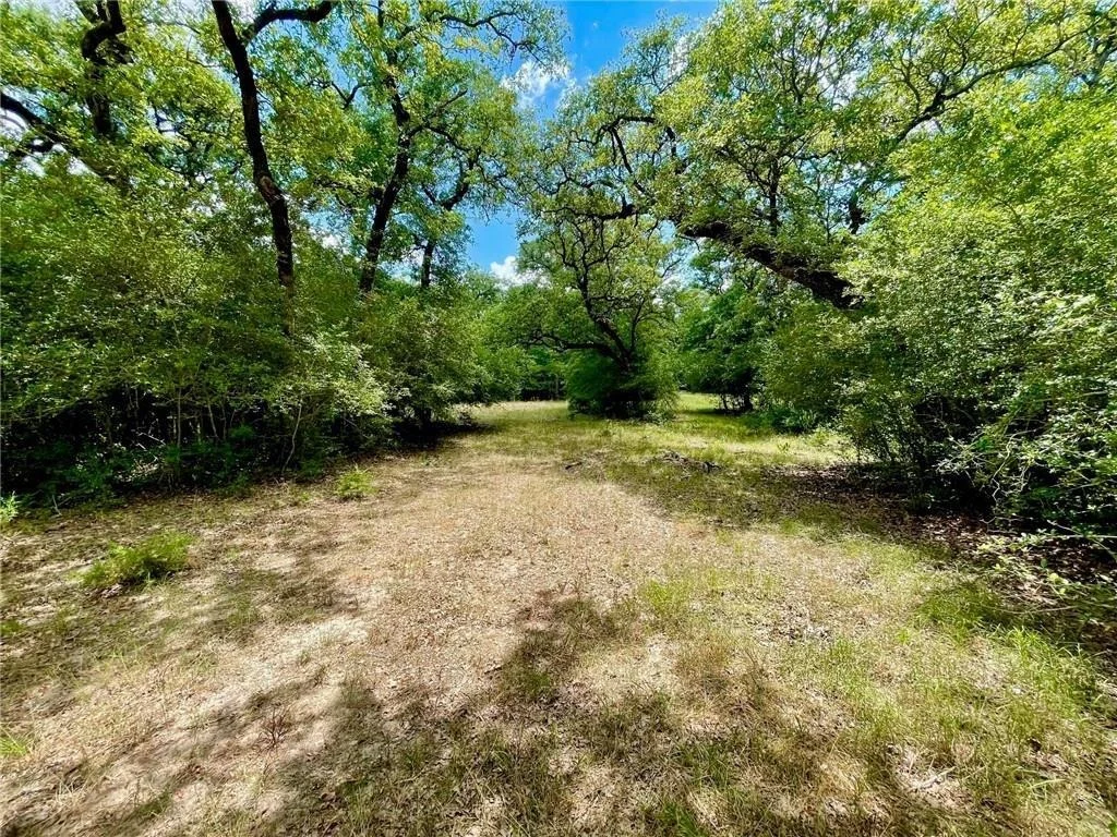 Photo of 10571 County Road 321