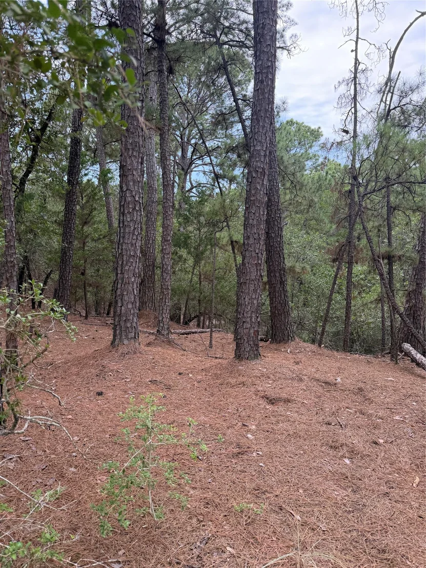 Photo of Lots 216 and 217 Hekili DR