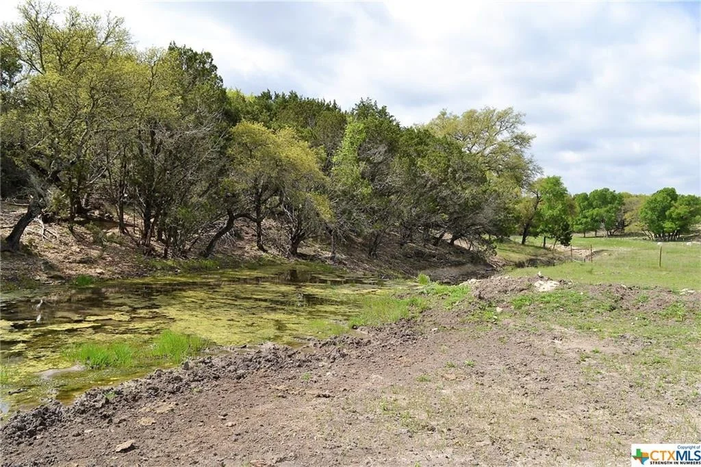 Photo of 1290 County Road 4765
