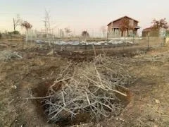 Photo of 143 Spring Hollow TRL