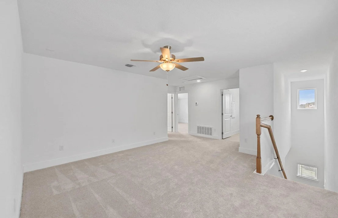 Photo of 5217 Monarda Mint DR