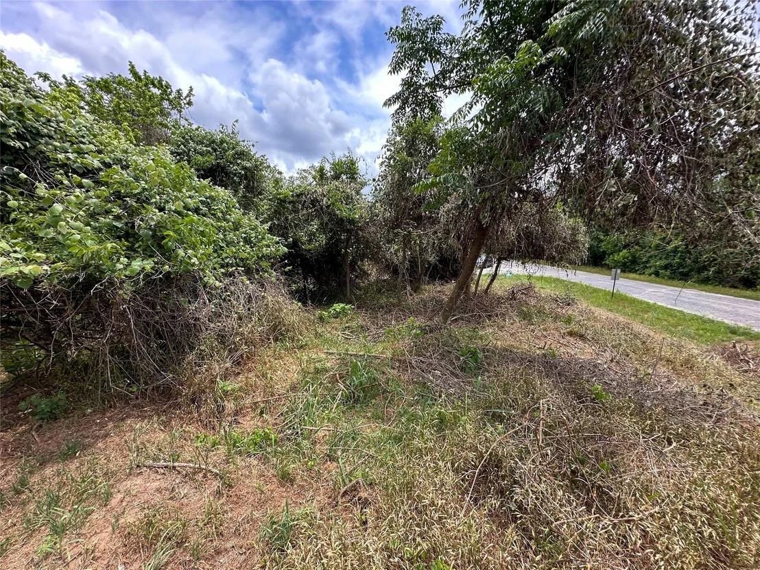 Photo of 103 Kahana LN