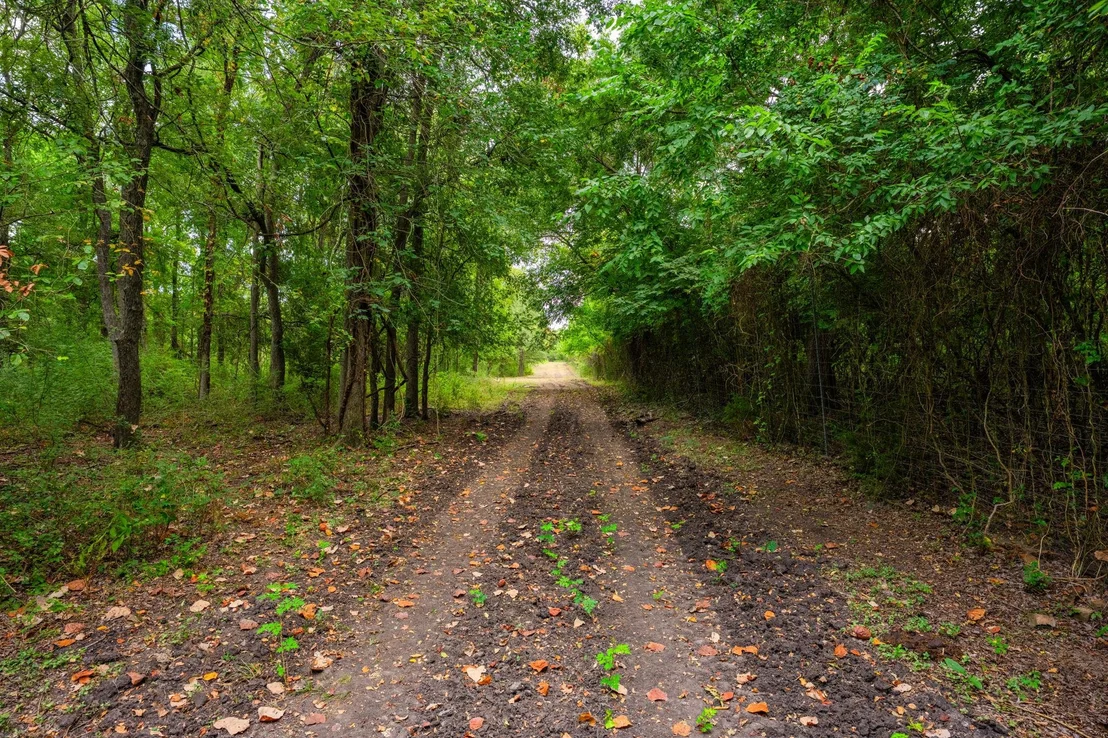 Photo of 777 County Road 206