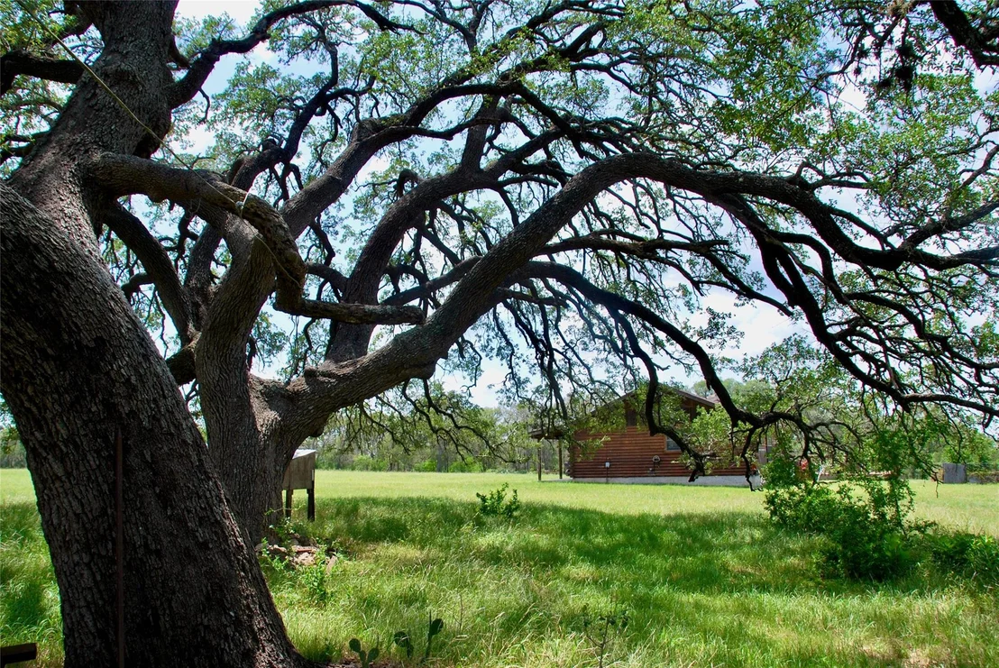 Photo of 2725 Old Lehmann RD
