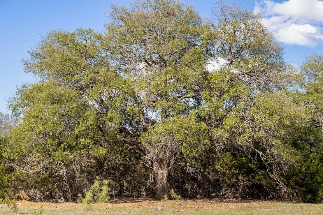 Photo of 9939 County Road 404