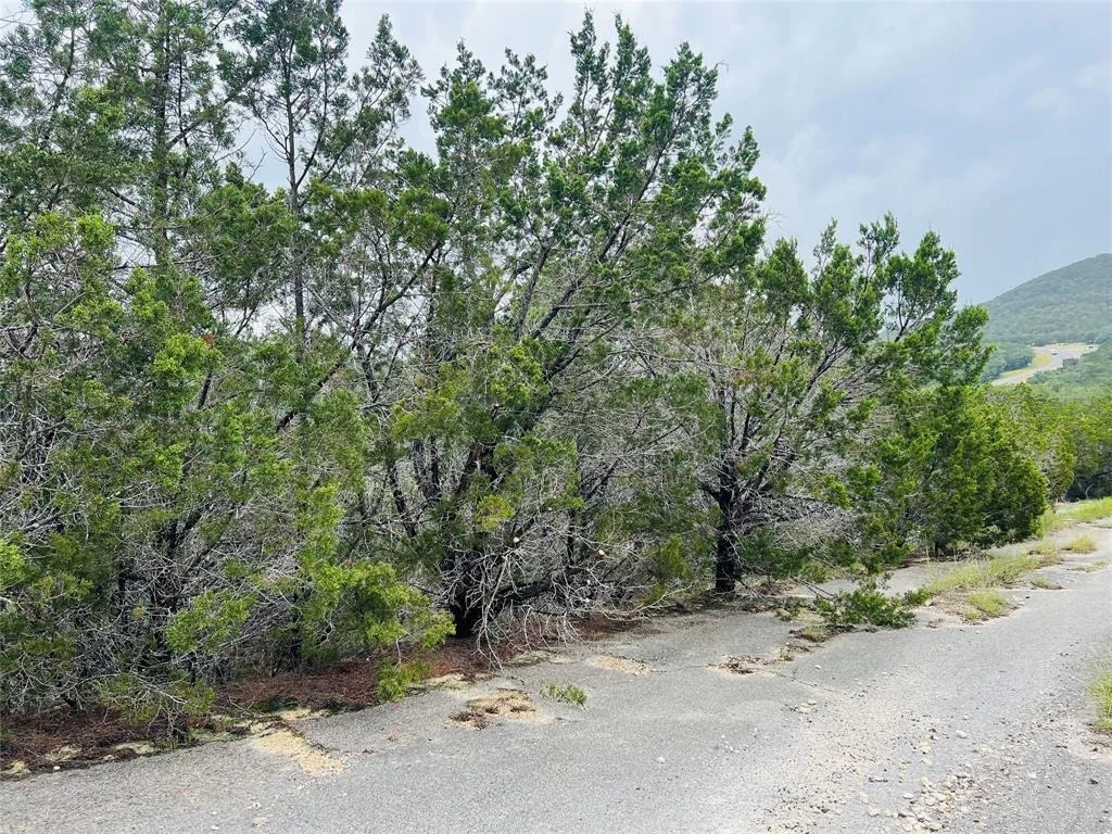 Photo of 21603 Wyoming PASS
