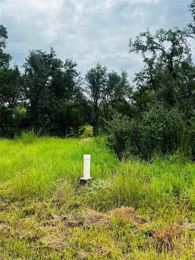 Photo of 241 Lehne LOOP