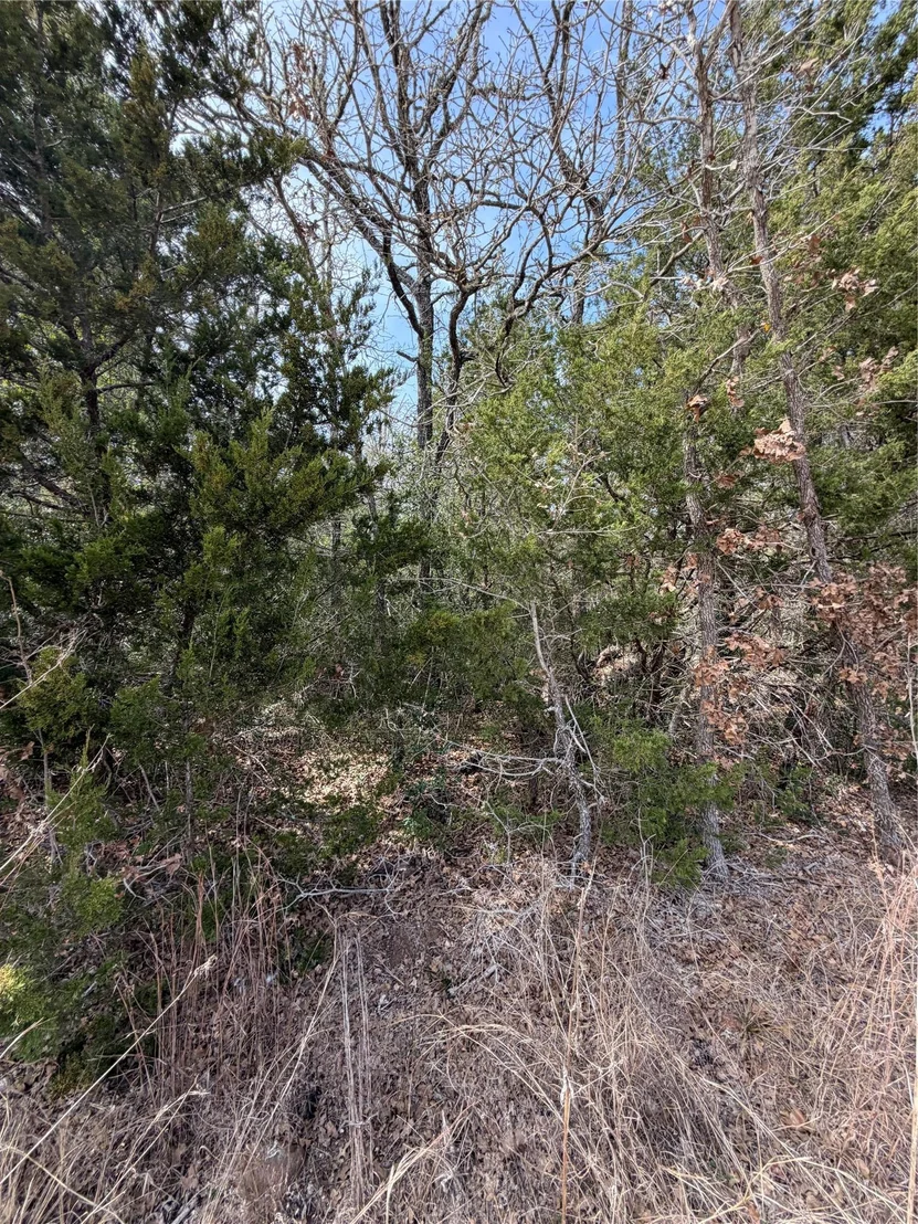 Photo of Lot 20 Flint Ridge ST