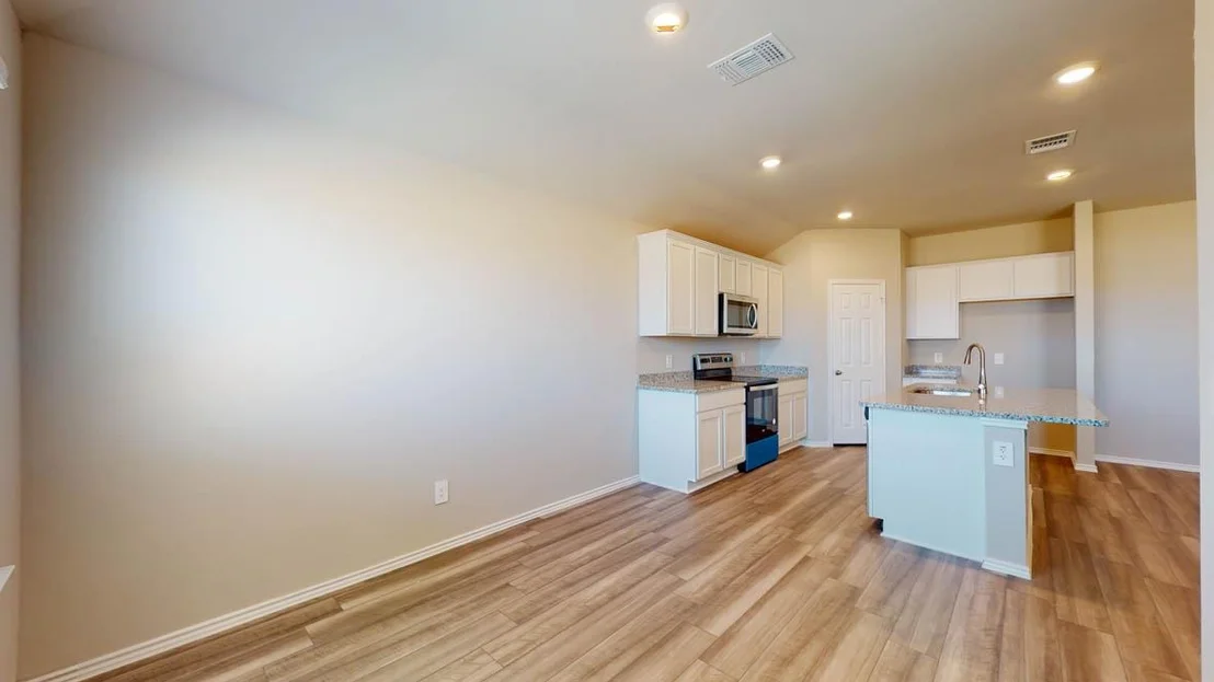 Photo of 513 Hector LOOP