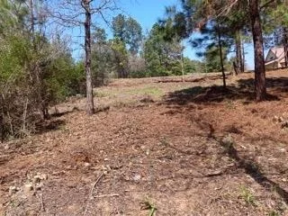 Photo of TBD Adele DR