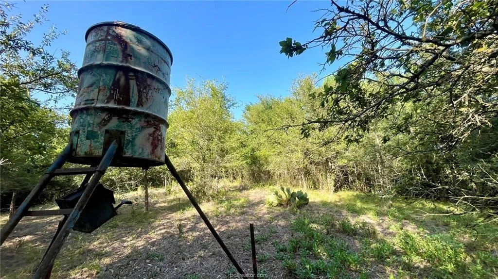 Photo of 750 County Rd 206A (15.5 Acres)