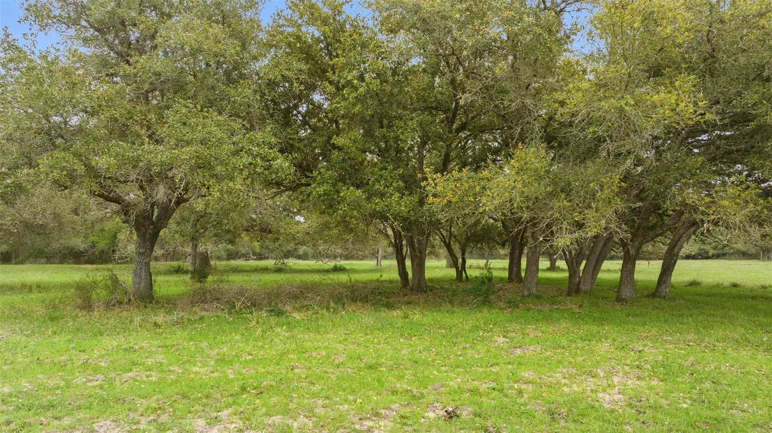 Photo of 778 County Road 123