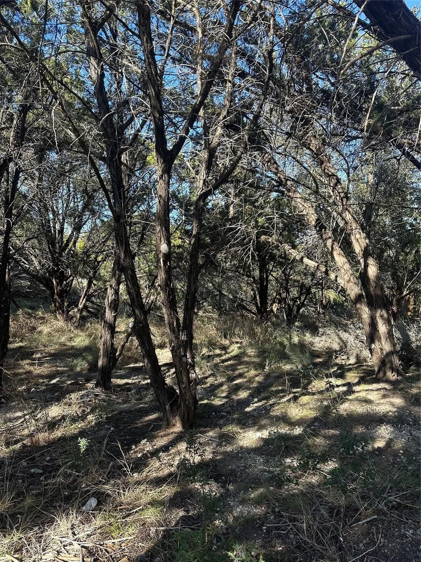 Photo of 20700 Branding Iron