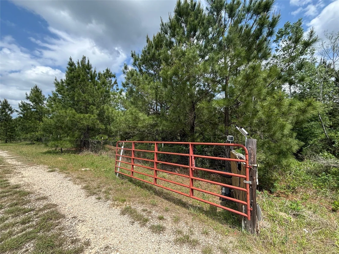 Photo of 214 Pine PATH