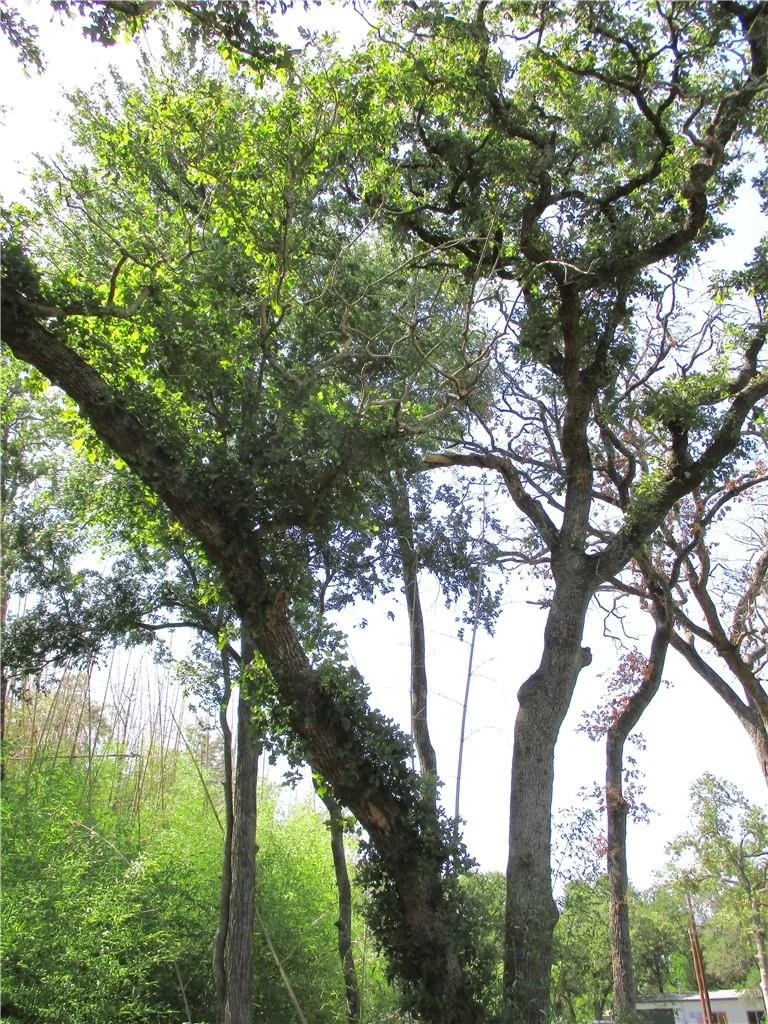 Photo of Lot 37 Moccasin Bend DR