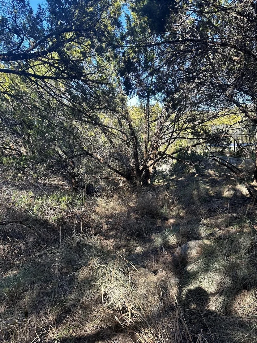 Photo of 20700 Branding Iron