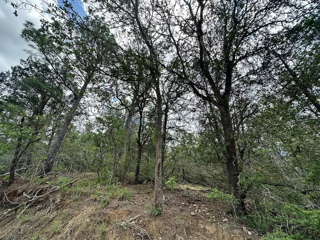 Photo of 173 Kaaawa LN