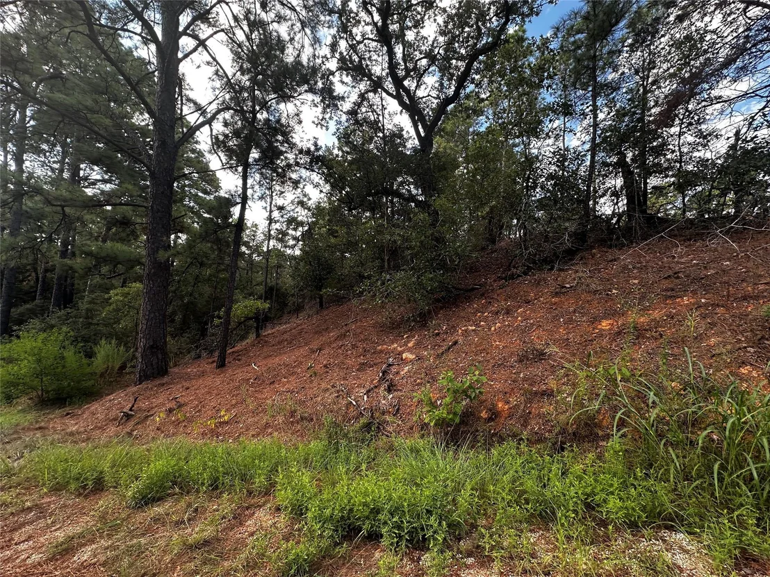 Photo of 145 Lamaloa DR