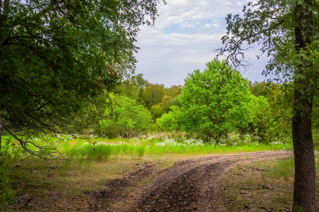 Photo of 777 County Road 206