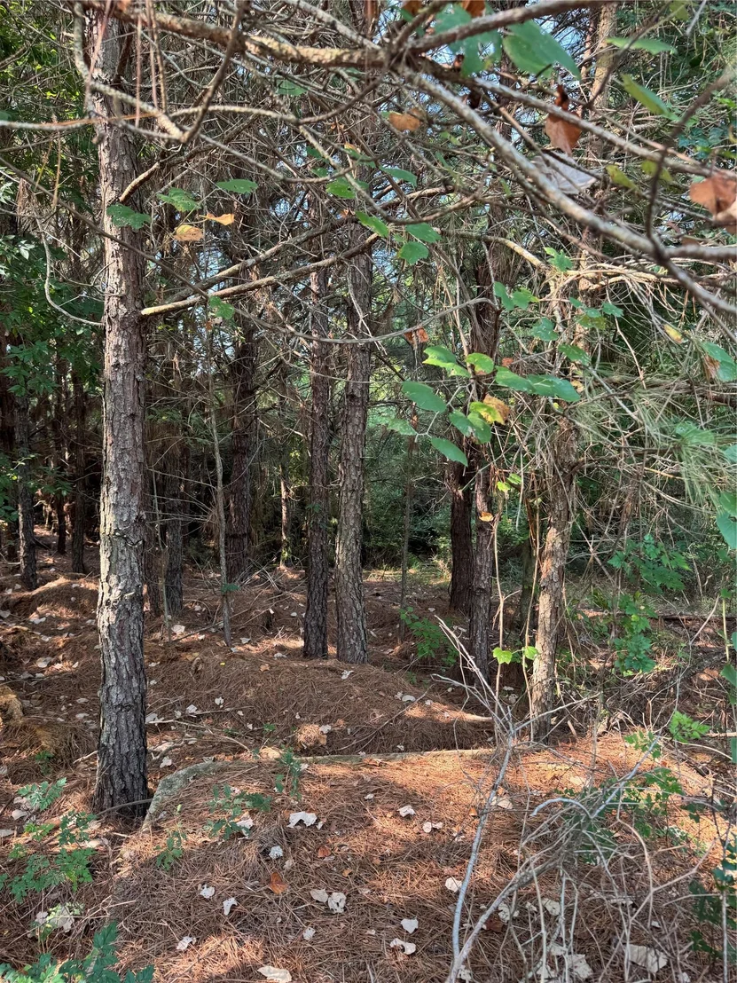 Photo of 131 Nakalele LN