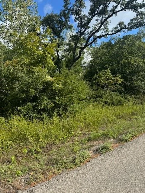 Photo of Lots 1338 and 1339 Tahitian DR