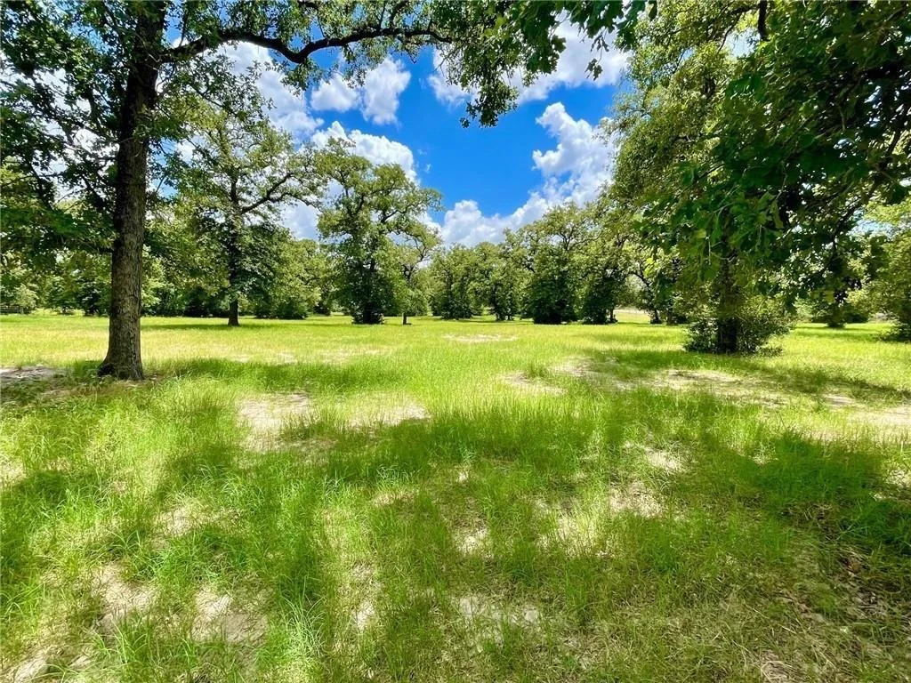 Photo of 10571 County Road 321