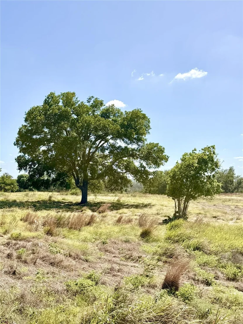 Photo of Lot 91 Axis CIR