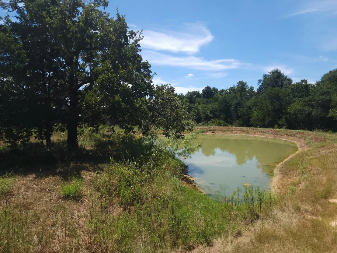 Photo of 668 Fairview DR