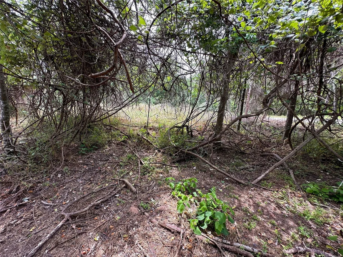 Photo of 103 Kahana LN