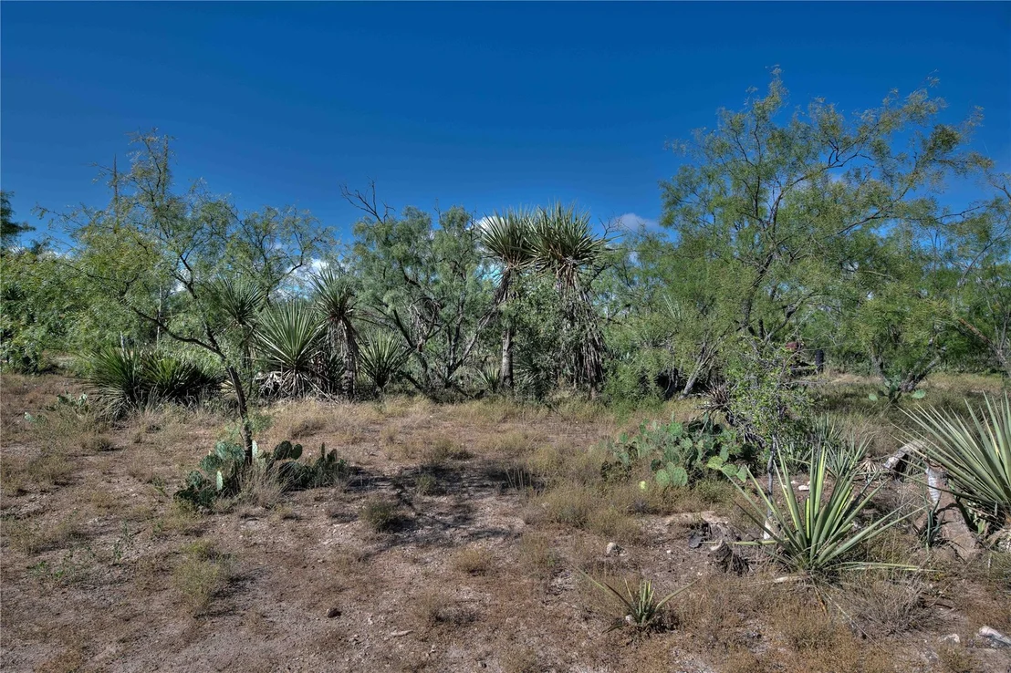 Photo of 1281 pr 3740