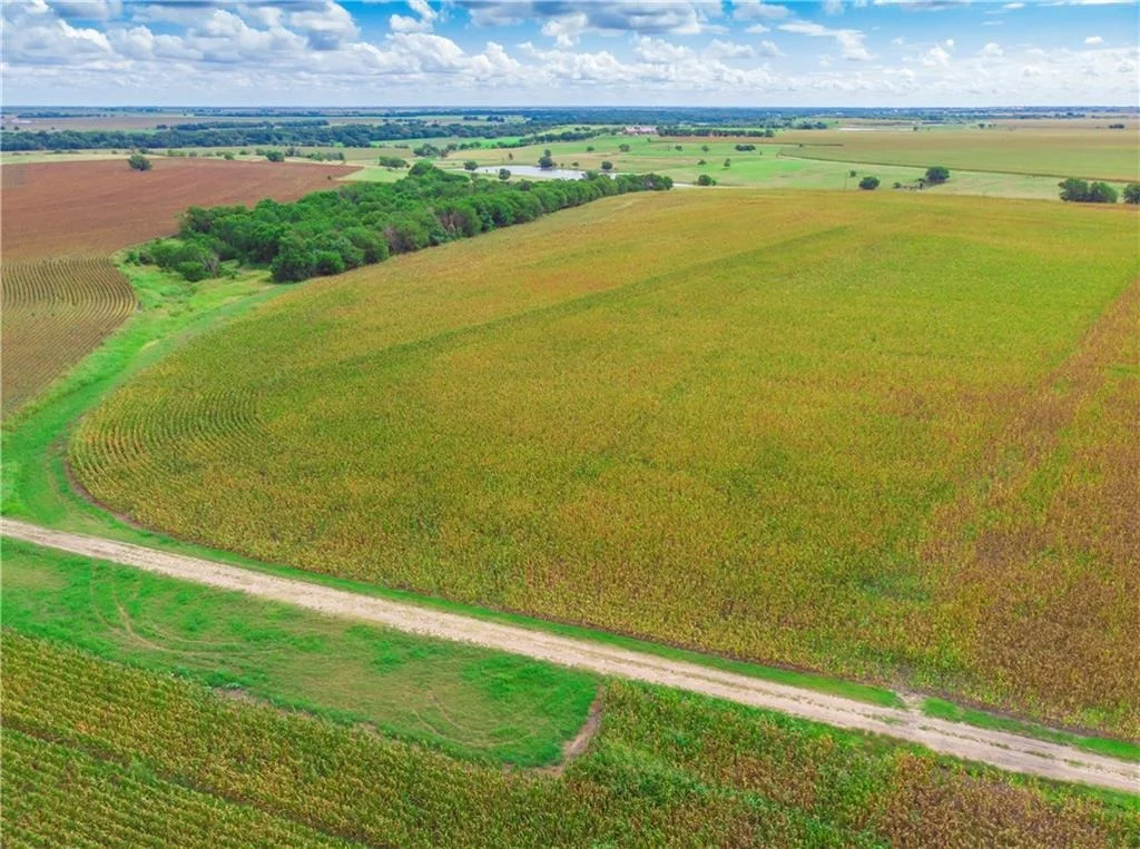 Photo of 703 County Road 368