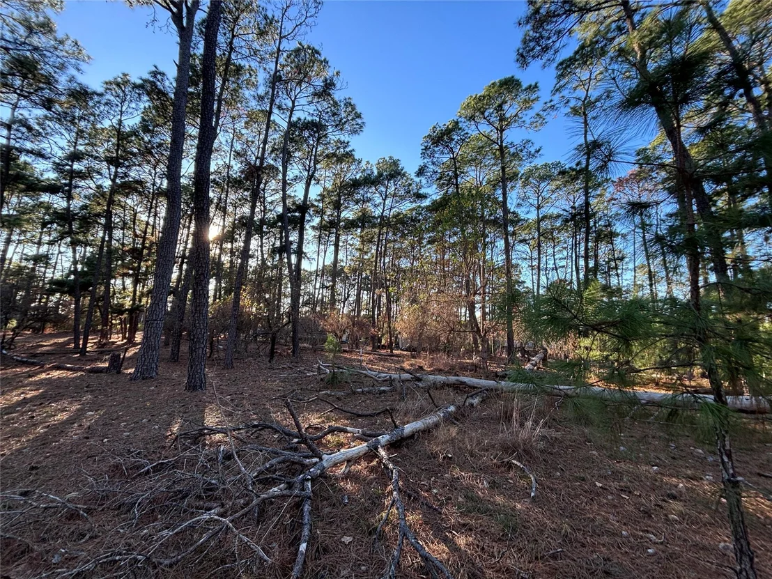 Photo of 987 Stephen LN