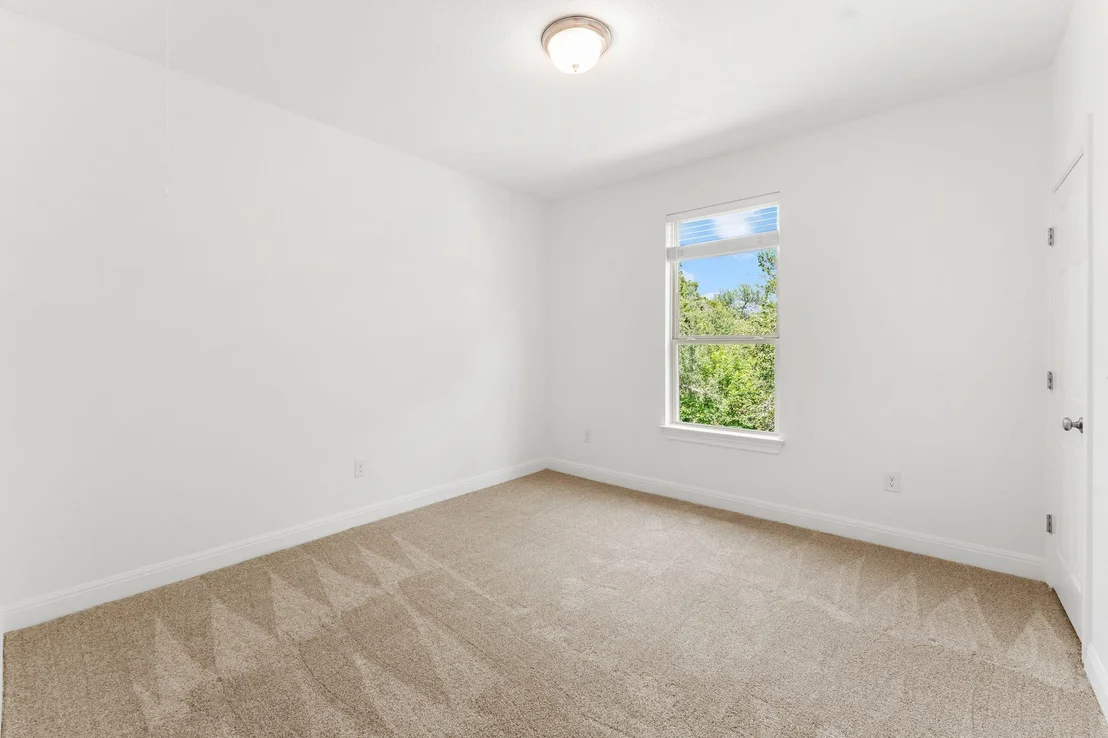 Photo of 226 Orange Mimosa LN
