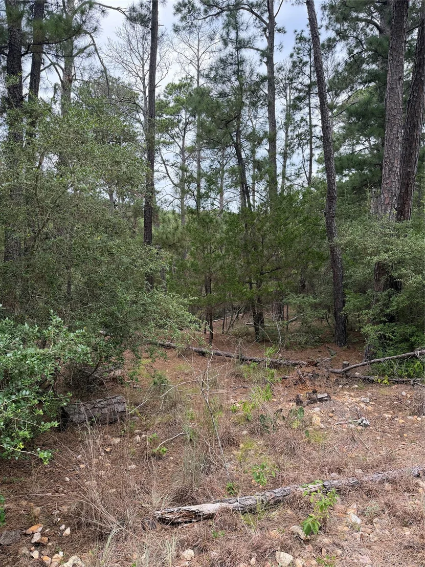 Photo of Lot 217 Hekili DR