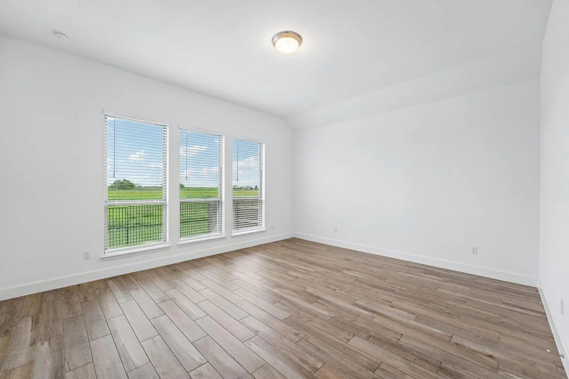 Photo of 133 Plumbago LOOP