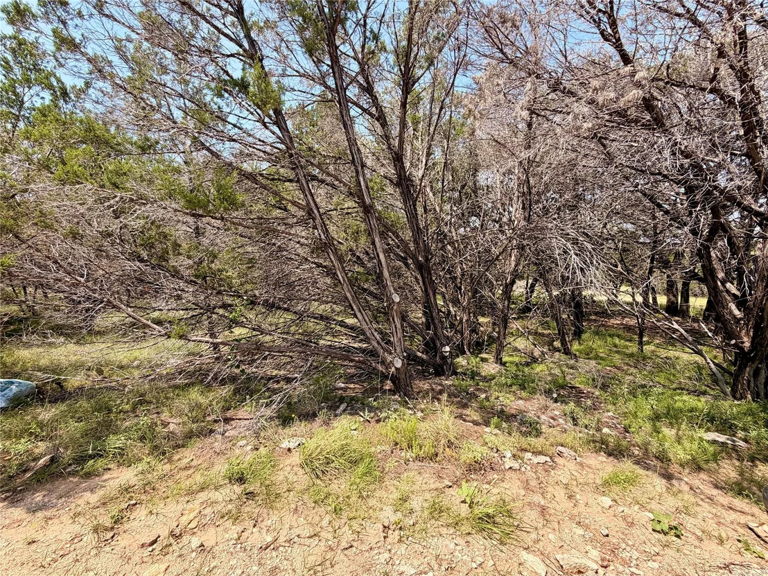 Photo of 21807 O'Henry Ave
